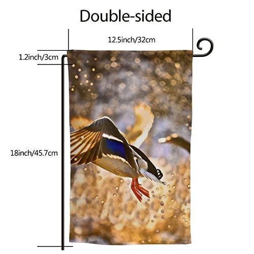 Drapeau de jardin colvert imprimé déco extérieur double face 12,5 x 18