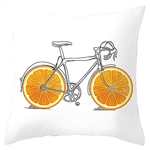 EHOMERY Pillow Cover Standard Cushion Cover Indian Style Velvet Pillow Covers For Couch Pillows For Couch Decorative Set Living Room Sofa Decoration 16X16 Inches Cover