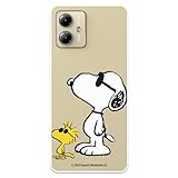 LA CASA DE LAS CARCASAS