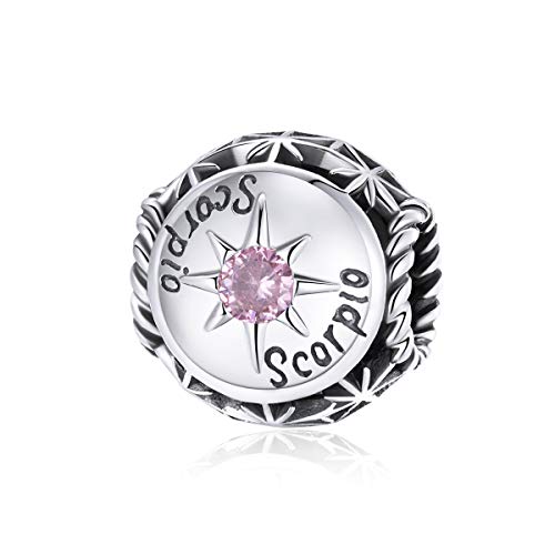 Image of 12 Constellation Charms 925 Sterling Silver Crystal Zircon Charms Family and Friends' Birthday Charm Birthstone Charms for Women Bracelets