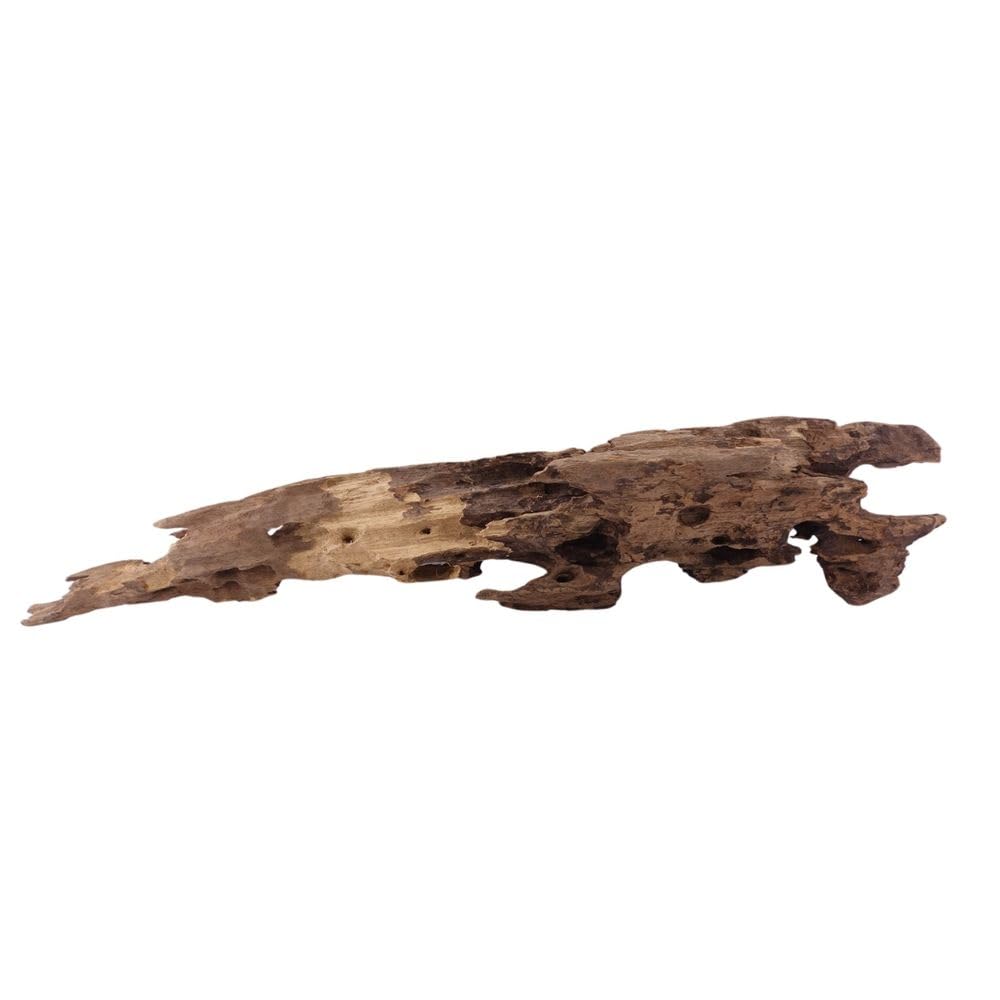 XL Honey Peine Raíz No.1937 Acuario Raíz Manglar Decoración de madera Aquascaping Decoración Paisaje Musgo Natural Madera Real