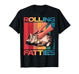 Cat Cats Pet Animal Kitten