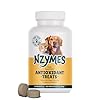 Nzymes® Antioxidant Treats – for Dogs Joints, HIPS, Paralysis, Skin, Coat, Hair Loss, Aging, Digestion, Neurological, Seizures – 60 Treats – Made in The USA