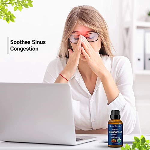 Organic Essential Oils Bundle By Nexon Botanics - 100% Natural Lavender Essential Oil And Cinnamon Essential Oil - Aromatherapy Benefits, Headaches, Congestion Relief- Freshen Up Mood And Atmosphere #TOP4