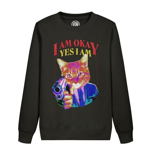 Sweat enfant humour chat illustration vintage parfait pour l'école et les loisirs
