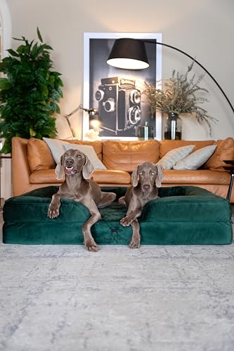 Image of NOAH & PAW Giant Dog Bed XXL, 55x45x11 Inch, Orthopedic Dog Beds, Eggshell Memory Foam Infused with Cooling Gel, Inner Cover, Water Resistant, Machine Washable (Velvet Sofa Collection)