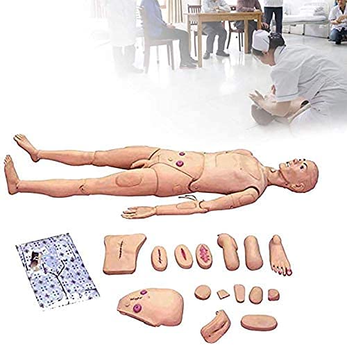 DDLL Multi-Functional Patient Care Simulator Male and Female Nursing Manikin Human Anatomical Model for Nursing Medical Training