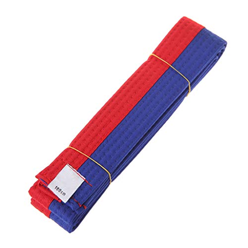 Ceinture de Taekwondo standard de 2.5m,11 couleurs,pour arts martiaux,karaté et judo- Green