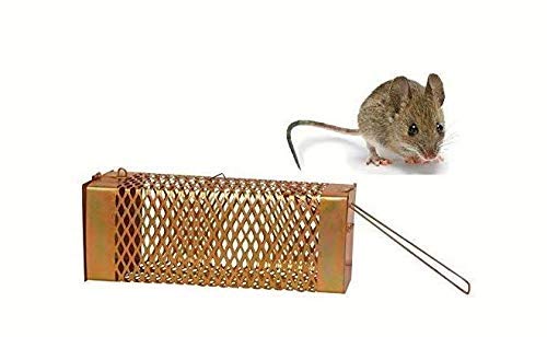 Ayra Crafts Iron Rat Trap/Rodent cage/Mouse Control for Home-image-30