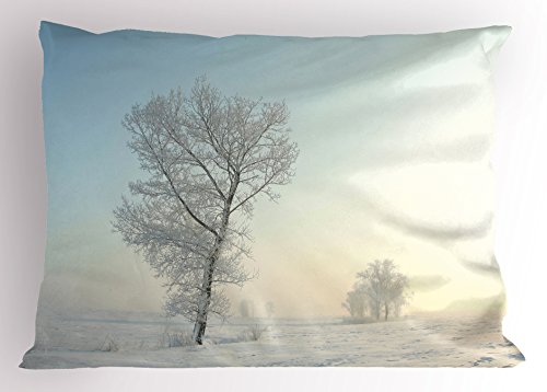 Ambesonne Winter Pillow Sham, Frozen Tree on Sunny Winter Morning Rising Sun Landscape Deserted Land, Decorative Standard Queen Size Printed Pillowcase, 30
