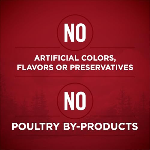 Image of Purina ONE True Instinct Tender Cuts in Gravy with Real Chicken and Duck, with Real Beef and Salmon High Protein Wet Dog Food Variety Pack - (Pack of 1) 13 oz. Cans