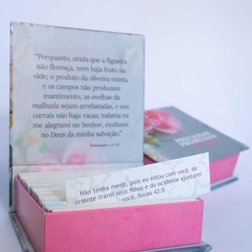 Preciosas Promessas de Deus – Com 220 versículos e Letras grandes
