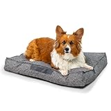 Best Friends by Sheri Dura-Tuff Dog Bed, Durable & Chew-Resistant with Water-Resistant Base, Shredded Foam & Plush Polyfill, Orthopedic Comfort for Dogs & Puppies, Indoor/Outdoor, Gray, 30' x 20'