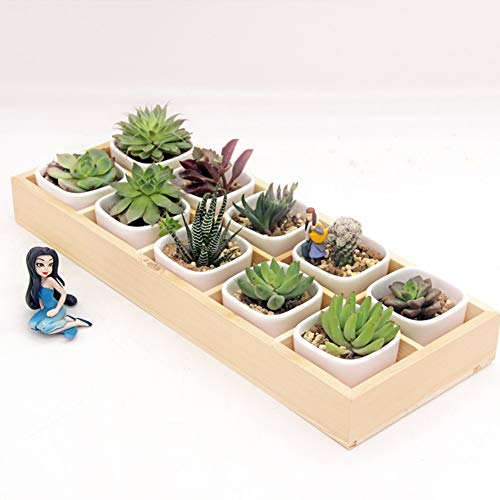 10 Grids Fleshy Flower Pot Wooden Tray Succulent Plant Box Tray Flower Plant Pot Decor for Home Office Windowsill Garden 13 x 5.3 x 1.6in