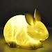 Woodland Twilights Porcelain Led Nightlight - Bunny