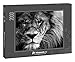 Produktbild fotopuzzle.de: Puzzle 2000 Teile Porträt eines schönen Löwen in Schwarz-Weiß  aus der Puzzle-Kollektion Tiere, Löwen, Tiere in Savanne & Wüste