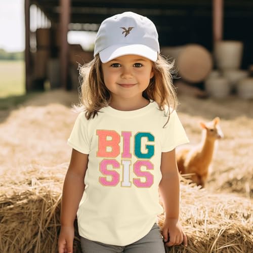 Big Sister Shirts for Girls Toddler Baby Big Sis T Shirt Towel Embroidery Tees Cute Short Sleeve Tops2