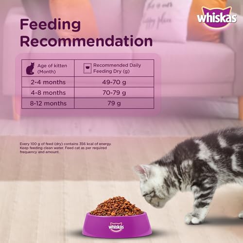 Image of Whiskas Junior Mother Cat & Kitten (2-12 Months) Dry Cat Food, Ocean Fish Flavour, 6.5 kg, Contains 41 Essential Nutrients, Complete & Balanced Nutrition for Mother Cats & Kittens (Pack of 2)