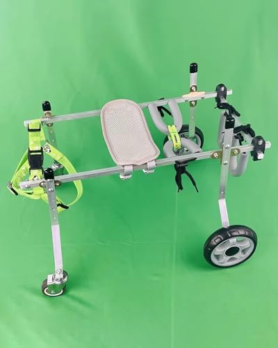 Chariot de mobilité pour chiens et chats pour revivre ensemble