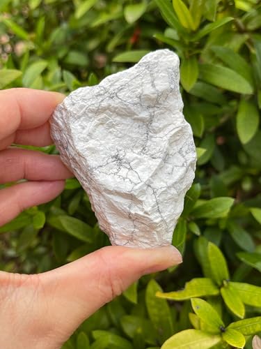 GAF TREASURES Large Raw White Howlite...