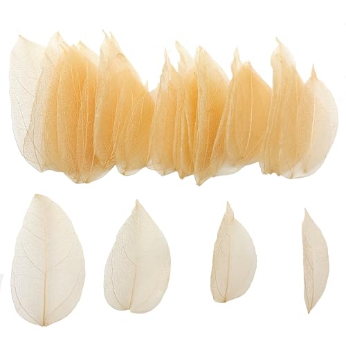 HAOBIN Pack of 50 Natural Skeleton Leaves Dried Leaves Skeleton Leaves Natural Dried Leaves Mixed for DIY Scrapbook Craft Card Making (Brown A)