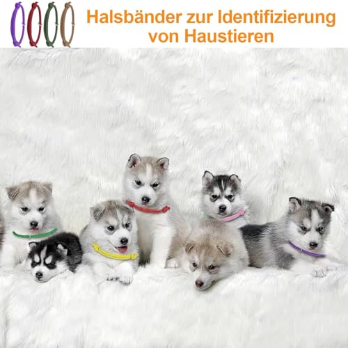12 Stück Welpen ID Halsbänder, Welpenhalsbänder Einstellbar Soft Welpen Halsbänder, für Kleine Katzen, Hunde Welpen für Neugeborene Haustiere, 12 Farben