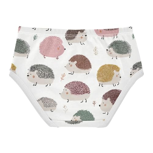 Wusikd Cute Hedgehogs Girls' Underwear Cotton Girls Briefs Soft Toddler Underwear 2T2