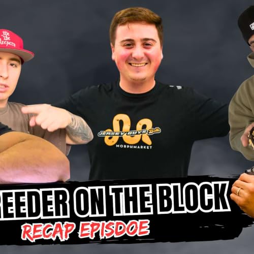 Everything In Store Ball Python Project Wise In 2027 | New Breeder On The Block Ep.785