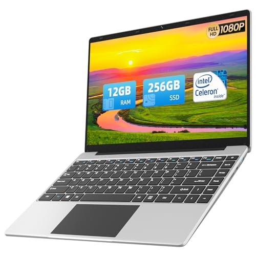 jumper Laptop Computer 14 Inch, Laptops Quad-Core Intel CPU(Up to 2.5G), 12GB RAM 256GB ROM, Notebook Computer with 1080P FHD IPS Display, Dual Speakers, 2.4G+5G WiFi, Type-C, USB3.0, USB2.0, Gray.
