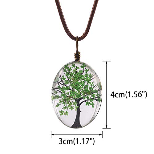 FM FM42 Life of Tree Multi Colors Queen Anne's Lace Dried Flowers Oval Pendant Necklace (4 Colors)3
