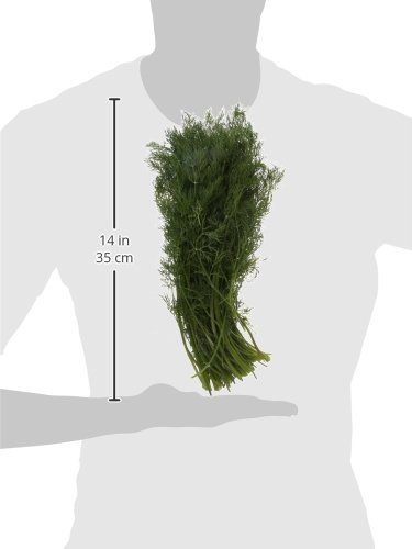 Organic Dill, One Bunch