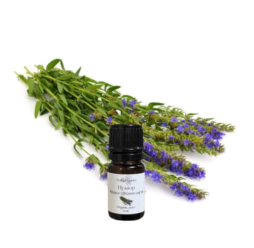 Aceite Esencial de Hisopo Orgánico Puro 5 mL miniatura 1
