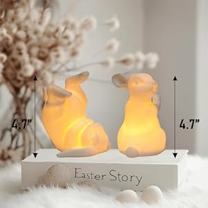 NEROSUN 2 Pack Easter Bunny Figurines, Ceramic White Rabbit Statues Tabletop Ornaments, Lighted Bunny Decorations for Home Table Shelf Party Spring Easter Decor NEROSUN 2 Pack Easter Bunny Figurines Ceramic White Rabbit Statues Tabletop Ornaments Lighted Bunny Decorations for Home Table Shelf Party Spring Easter Decor