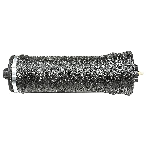 Resorte de aire de cabina – Freightliner Clase Century – Sustituye a W02-358-7207 1S5-175