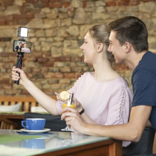 Hama Handy Stativ mit Handyhalterung (Ministativ h&ouml;henverstellbar max. 80 cm, min 22 cm, 2in1 Kamerastativ und Stativ f&uuml;r Smartphone, leichtes Reisestativ aus Aluminium mit Kugelkopf und Fernausl&ouml;ser)