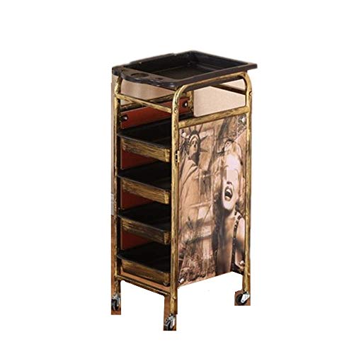 JMOZHCD Hair Salon Spa, 5 Layer Haircut Beauty Storage Trolley,