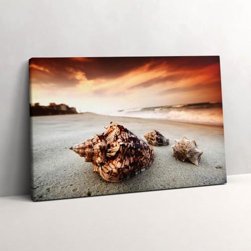 Tableau photo sur toile coquillage plage 60x40cm murale d'art moderne