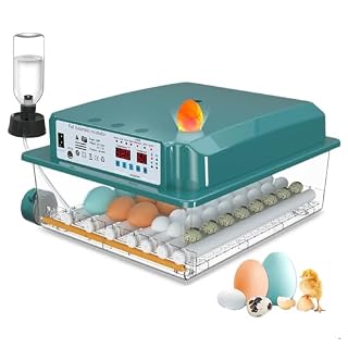 CoInceptus couveuse automatique 24 à 36 œufs avec mire