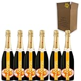 Chandon Garden Spritz Magnum - Espumante Refrescante con Toques de Naranja Amarga y Especias, Elaborado con Uvas Chardonnay, Pinot Noir y Semillón - Ideal para Aperitivos - Pack 6 Botellas 150cl