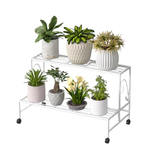 HeartTrend iSKit[X^h oRj[rOu[I T{eAؔ ƒpK[fΐAԒI (zCg,80*40*44cm,ԗ֕t)