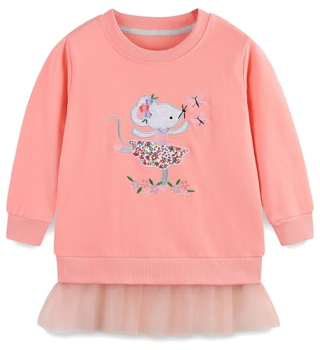 Image of FreeLu Girls Cotton Pullover Sweatshirts Kids Cute Cartoon Printed Crewneck Tops