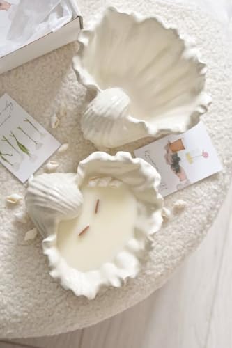 Image of Concrete Sea Shell Jar Candle | Velvet Rose Aroma | 12+Hours Burn Time | Perfect for Home Decor & Gifting (G)
