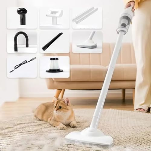 Aspirateur pour canapés carpets : la solution contre les poils