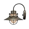 Globe Electric Liam 1-Light Outdoor Indoor Wall Sconce, Bronze, Frosted White Glass Shade,44097