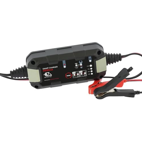 Eza - Cargador inteligente de litio 3,5 A