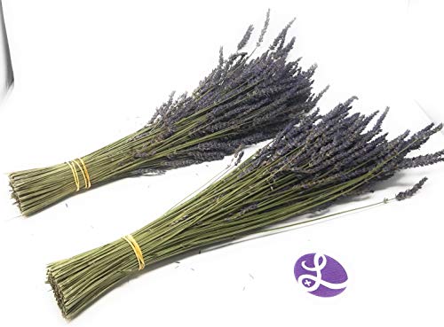 Ramilletes naturales de lavanda seca 22-24 pulg miniatura 1