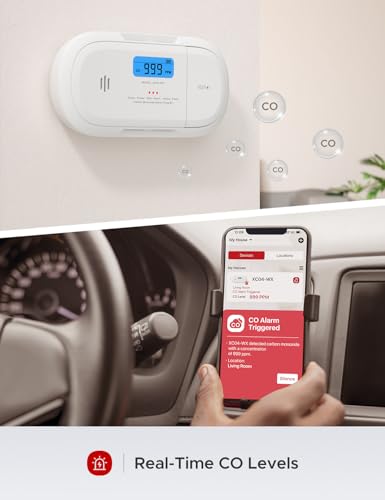 Wi-Fi CO Alarm
