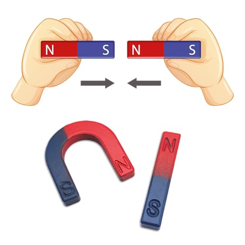 Set mit 2 pädagogischen Magneten – Hufeisen und Linear – N/S Rot Blau – Wissenschaftliche Experimente, Schule, Studenten und Lehrer – Ideal für pädagogische Projekte