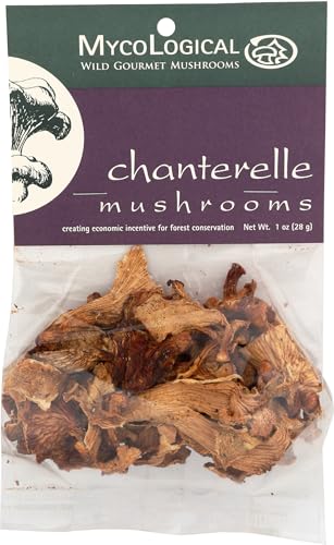 Mycological Dried Chanterelle Mushrooms, 1 Ounce Pack