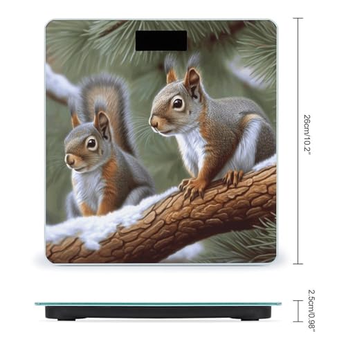Báscula Digital Little Squirrel Peso Corporal Precisa miniatura 2